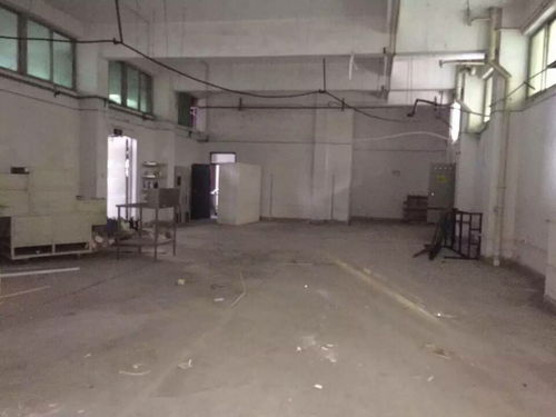 外資廠(chǎng)房驗(yàn)廠(chǎng)檢測(cè)鑒定報(bào)告高效出具指南